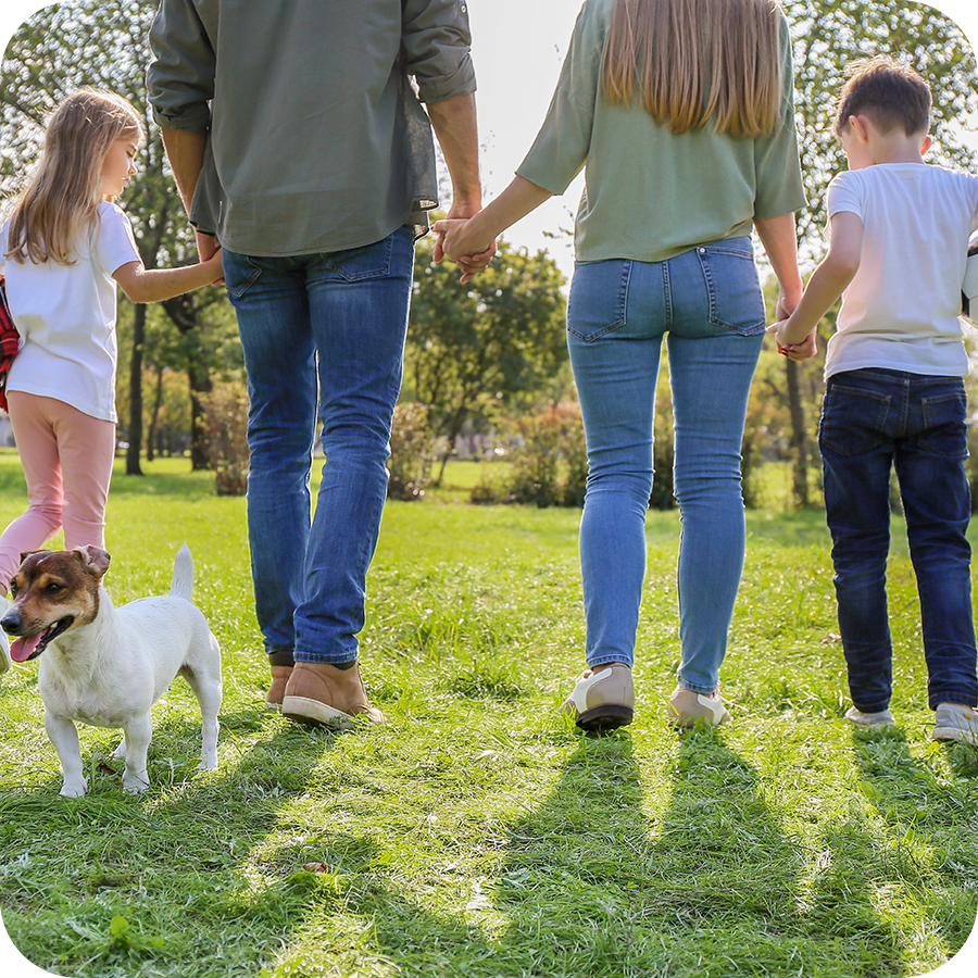 Family Walking Hand In Hand